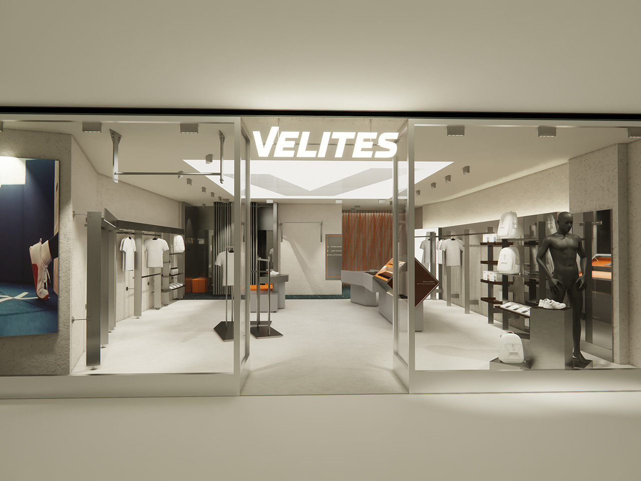 Velites